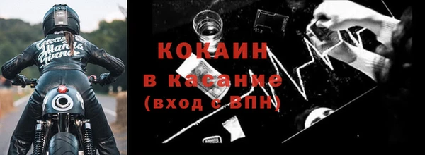 шишки Нея
