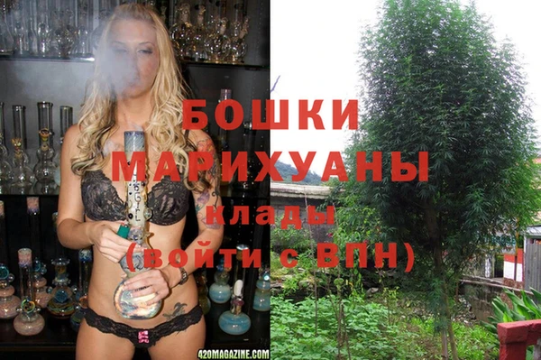 шишки Нея