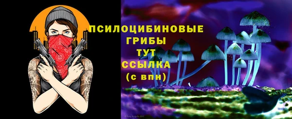 хмурый Наволоки
