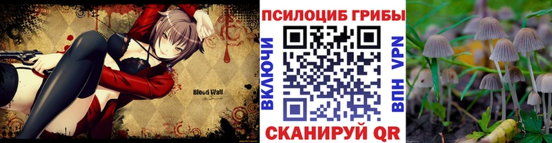 Галлюциногенные грибы Magic Shrooms Тетюши